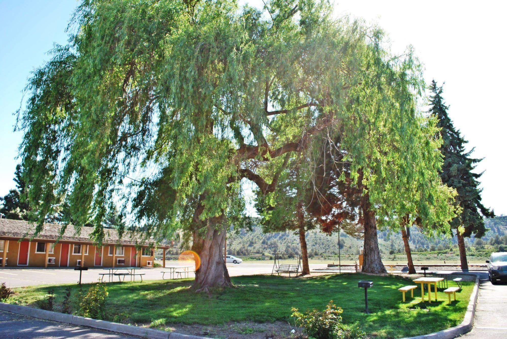 Oregon Motel 8 And Rv Park Klamath Falls Dış mekan fotoğraf